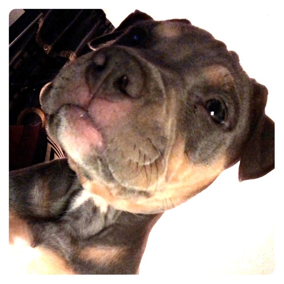 Meet your Posher, Wendy - Picture 1 of 1